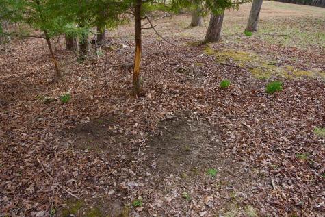 0 Daus Mountain Road Palmer TN 37365