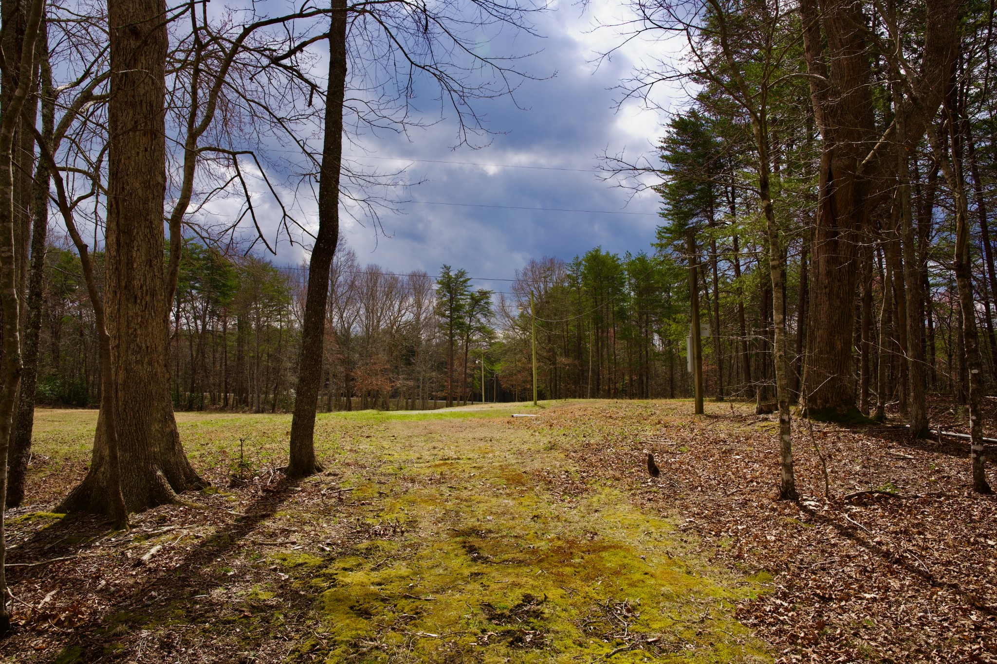 0 Daus Mountain Road Palmer TN 37365