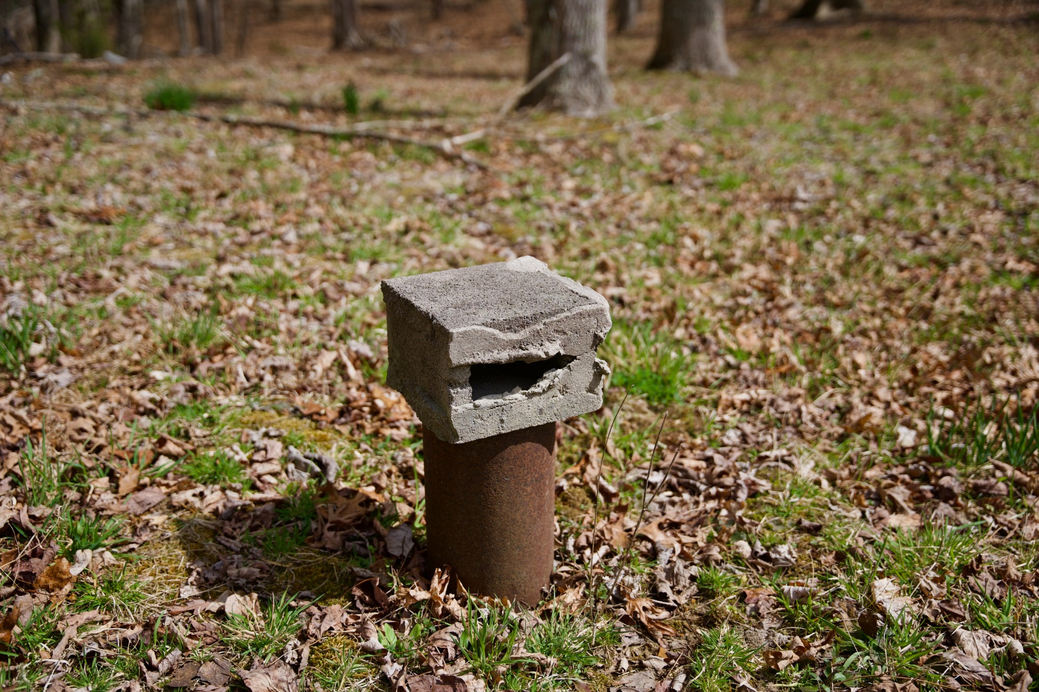 0 Daus Mountain Road Palmer TN 37365