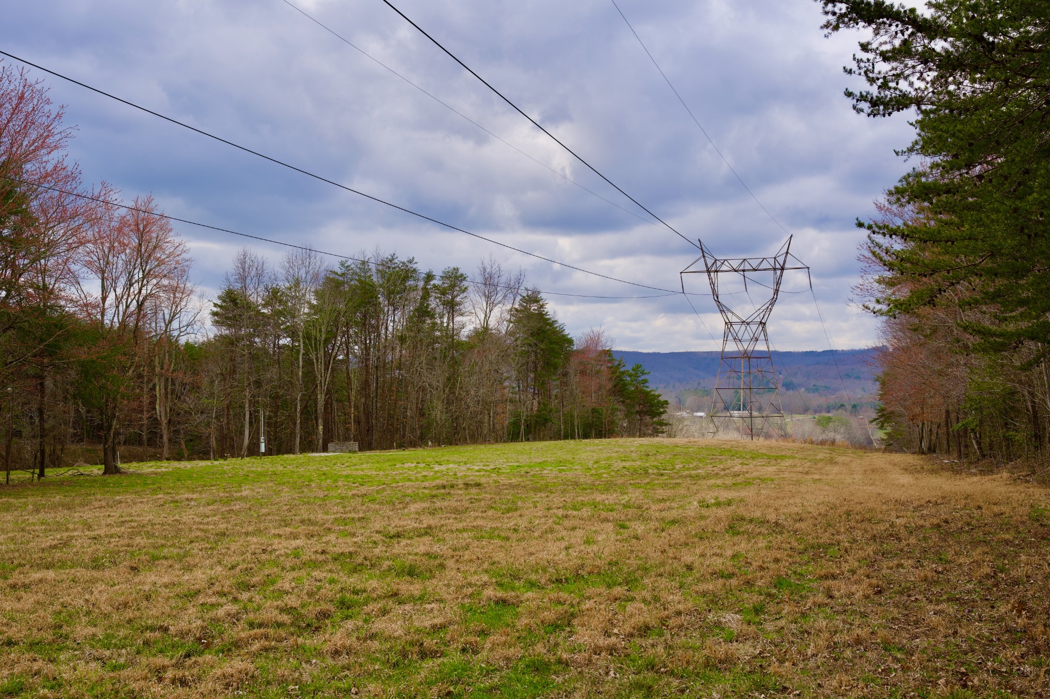 0 Daus Mountain Road Palmer TN 37365