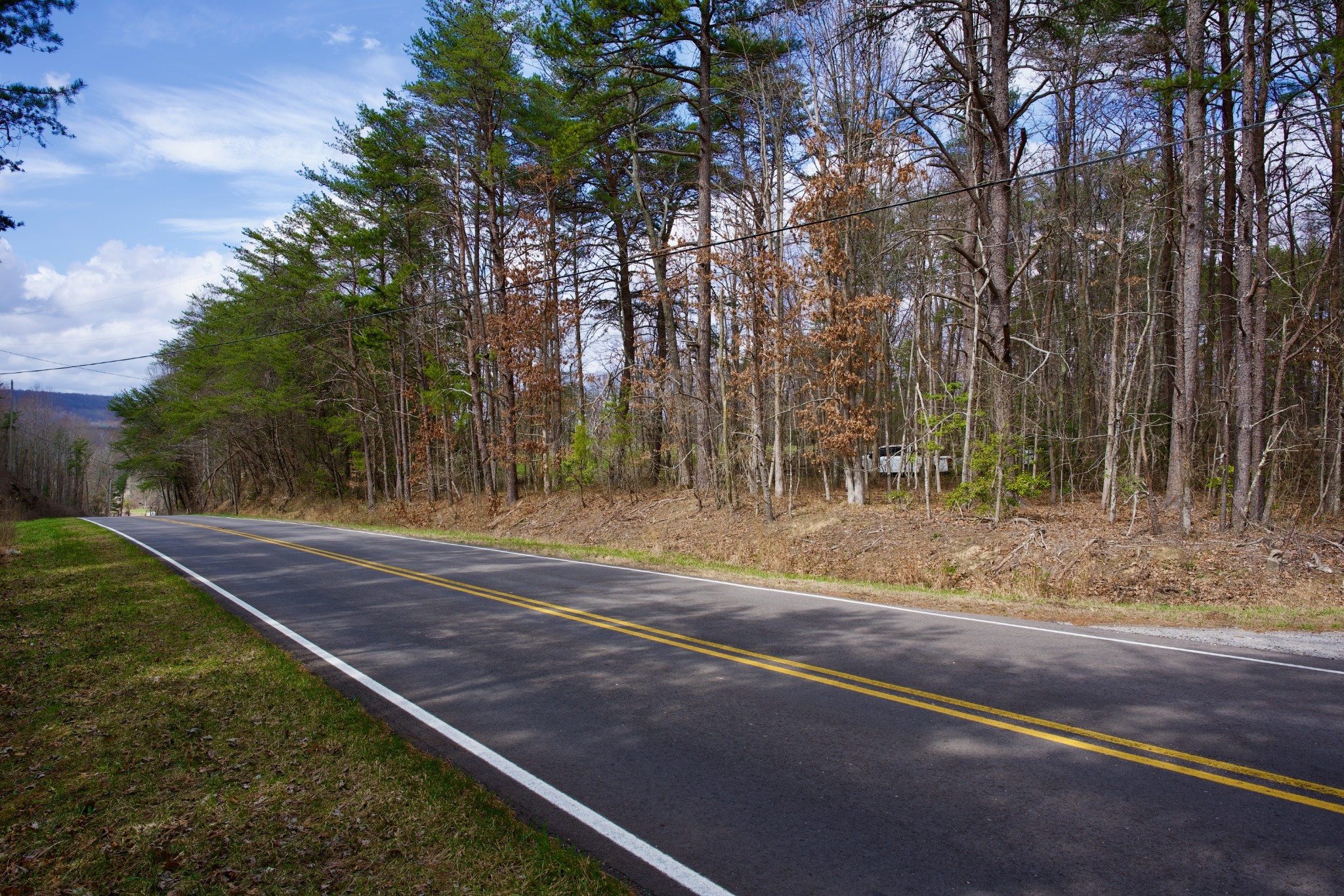 0 Daus Mountain Road Palmer TN 37365