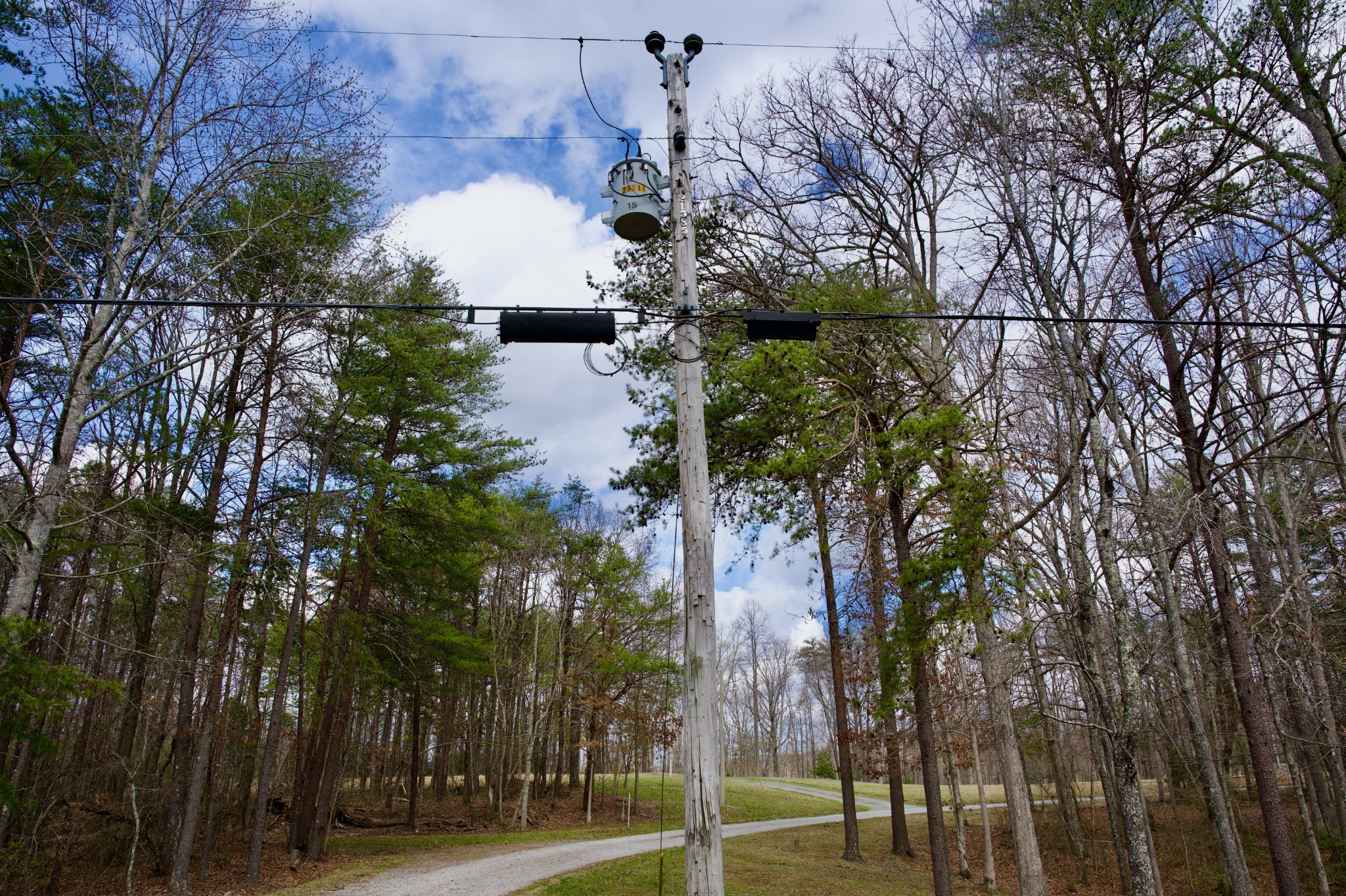 0 Daus Mountain Road Palmer TN 37365