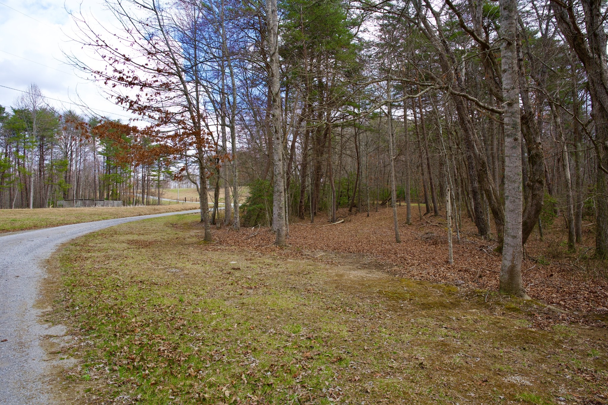 0 Daus Mountain Road Palmer TN 37365