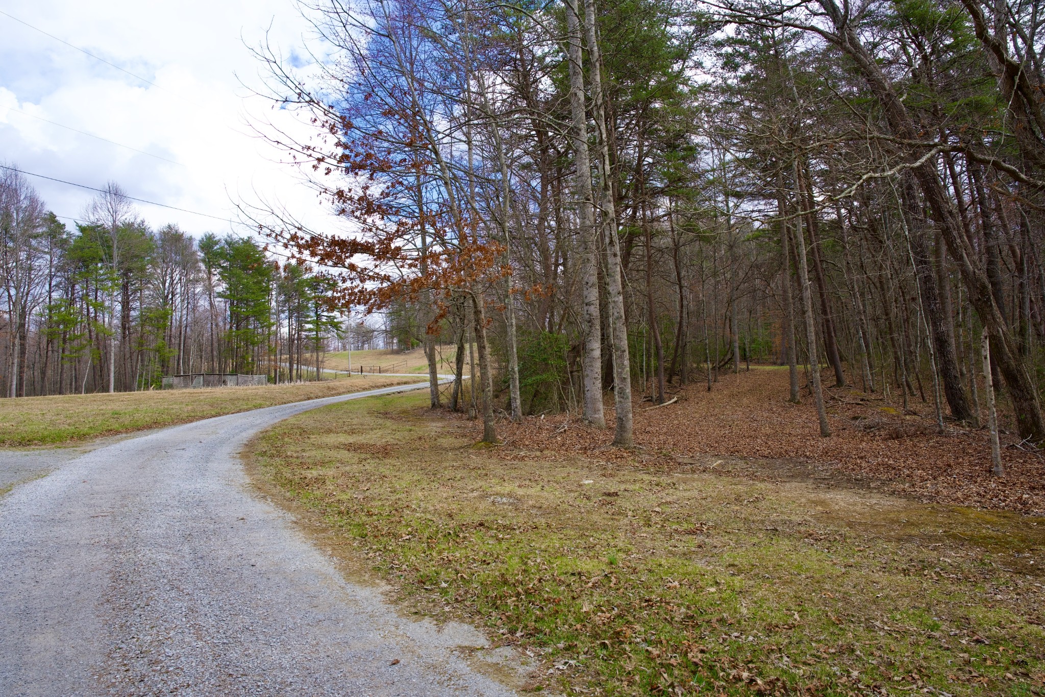 0 Daus Mountain Road Palmer TN 37365