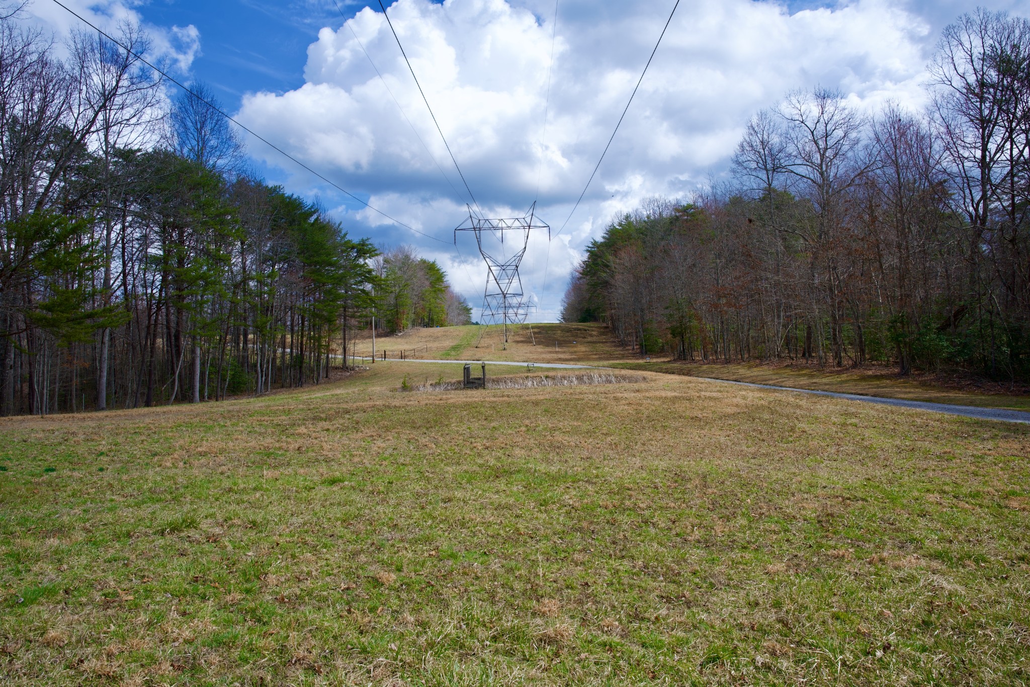0 Daus Mountain Road Palmer TN 37365