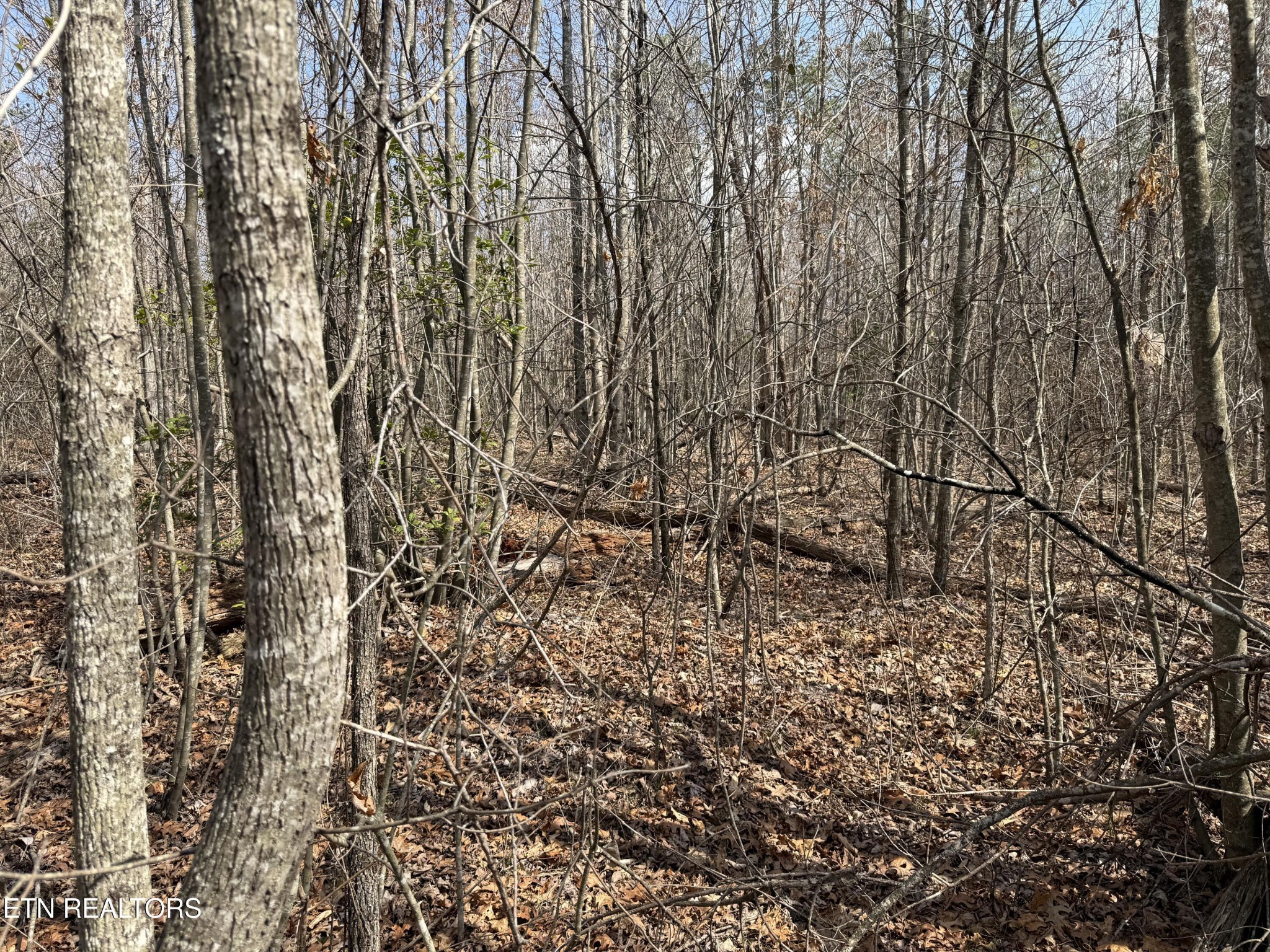 0 Cumberland Lakes Drive Monterey TN 38574