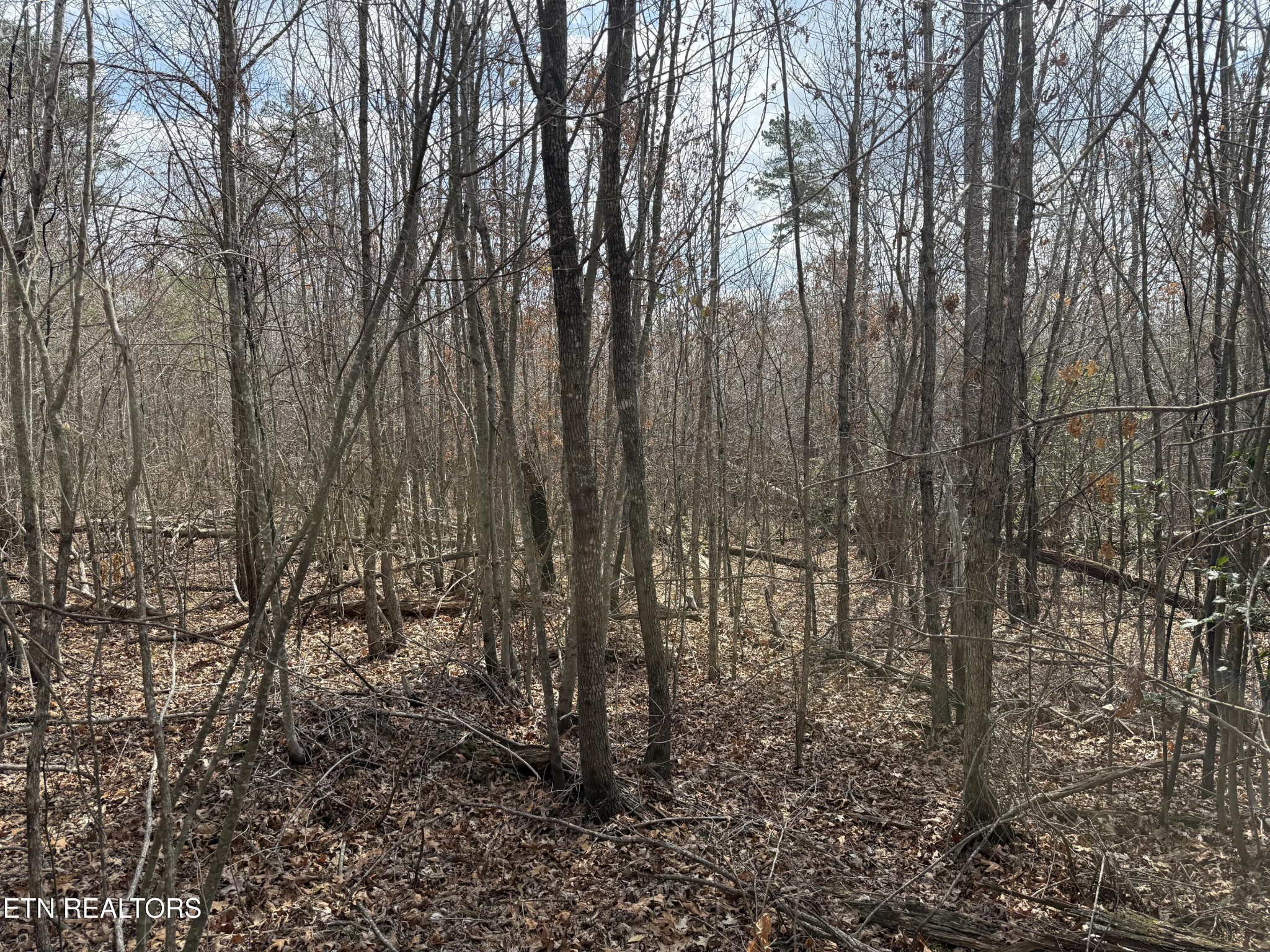 0 Cumberland Lakes Drive Monterey TN 38574