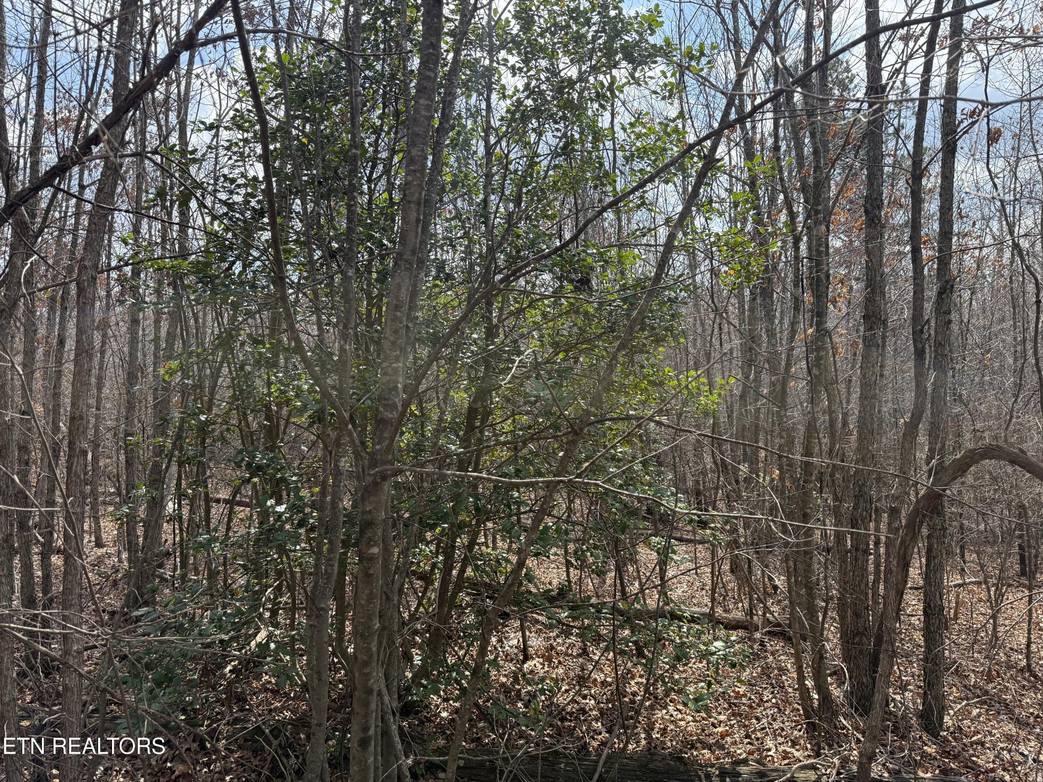 0 Cumberland Lakes Drive Monterey TN 38574