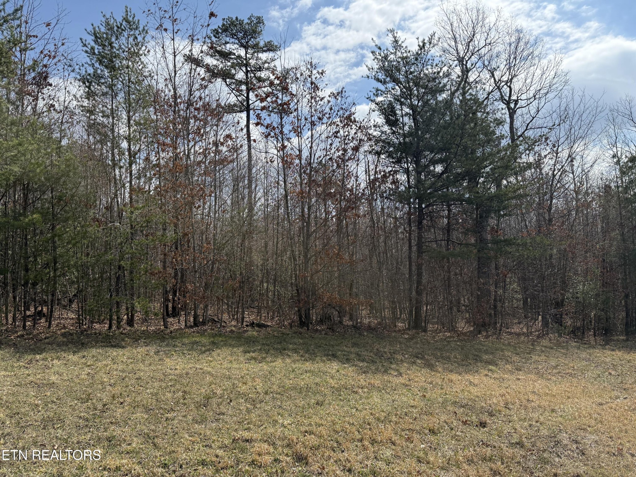 0 Cumberland Lakes Drive Monterey TN 38574