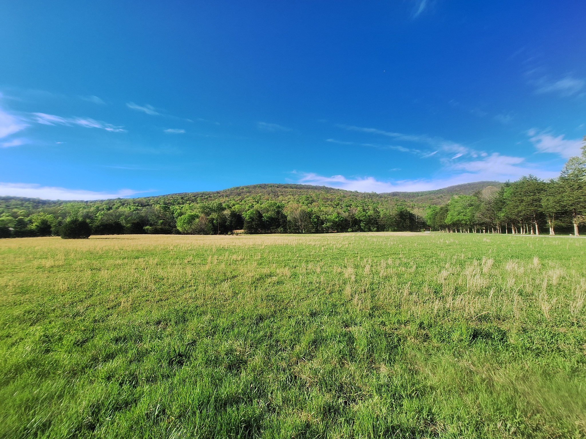 0 Hawkins Cove Road Cowan TN 37318