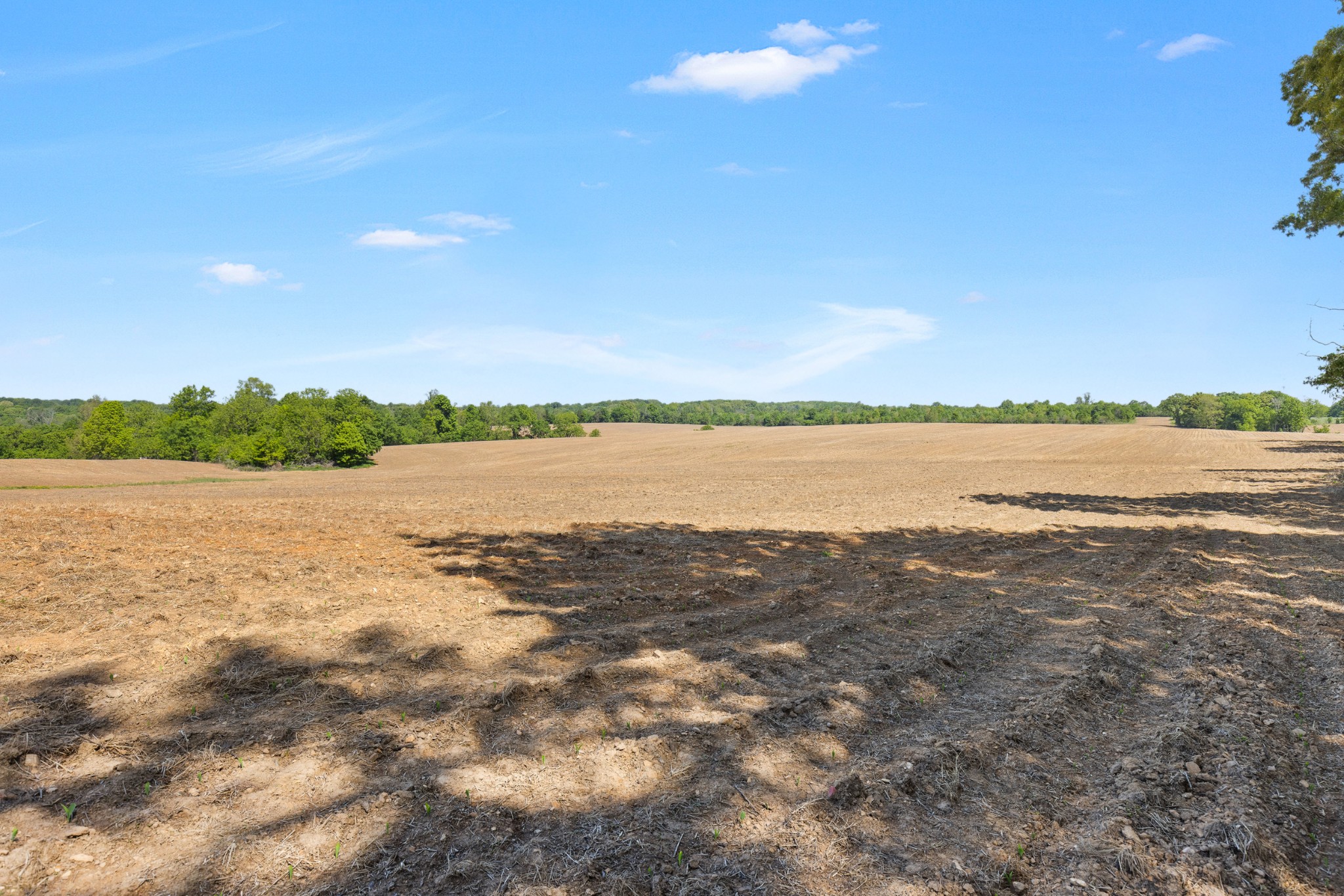 0 Cooper Nicholson Road Springfield TN 37172