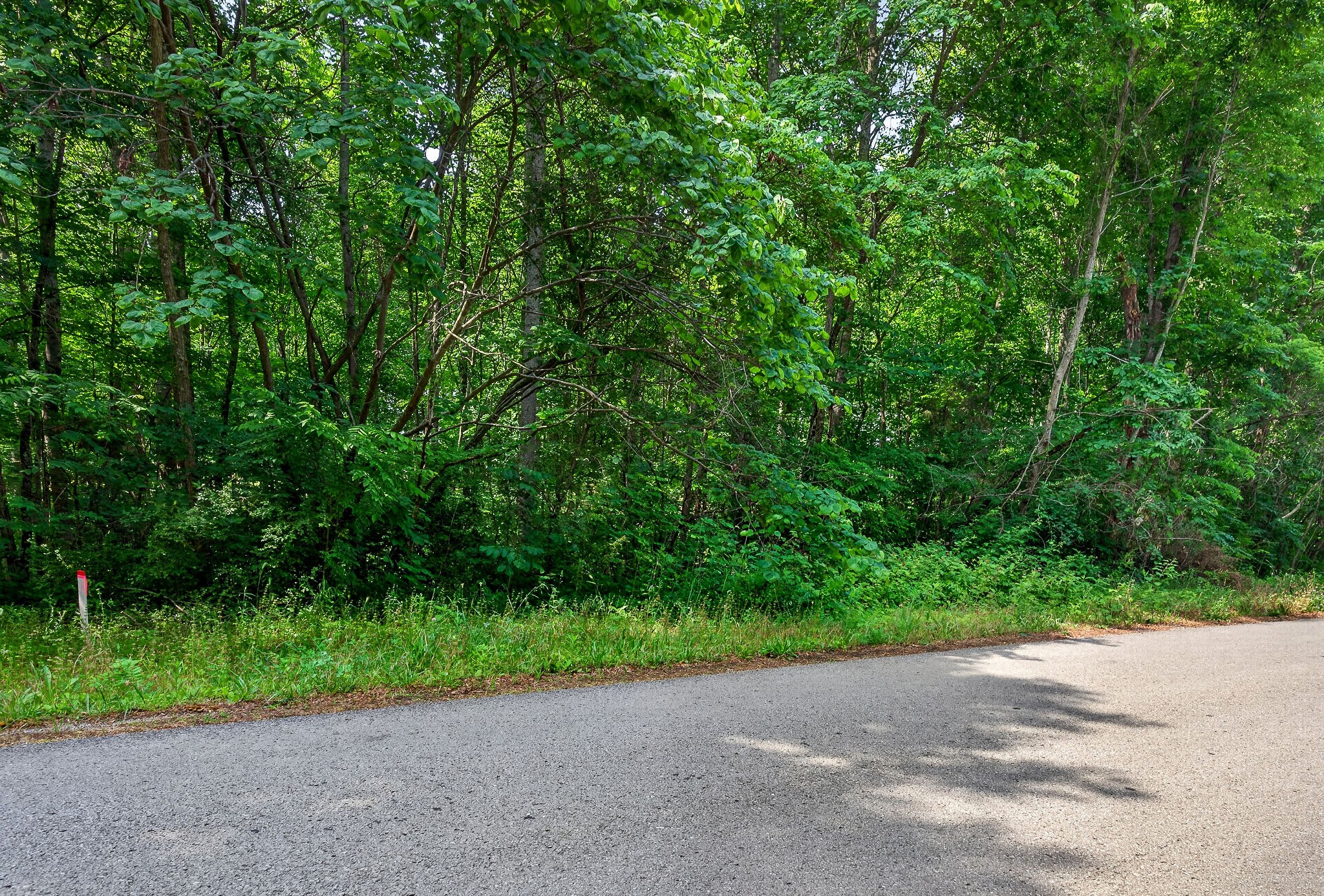 0 Coconut Ridge Road Smithville TN 37166