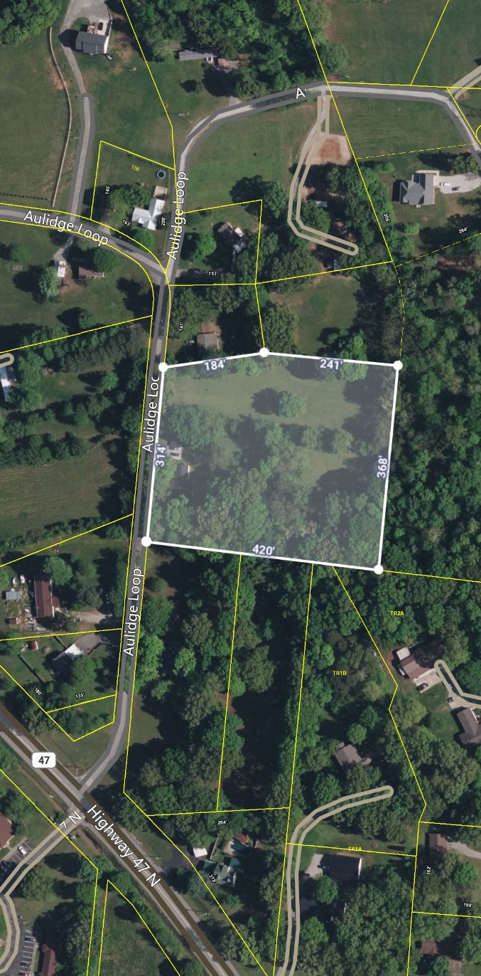 259 Aulidge Loop White Bluff TN 37187