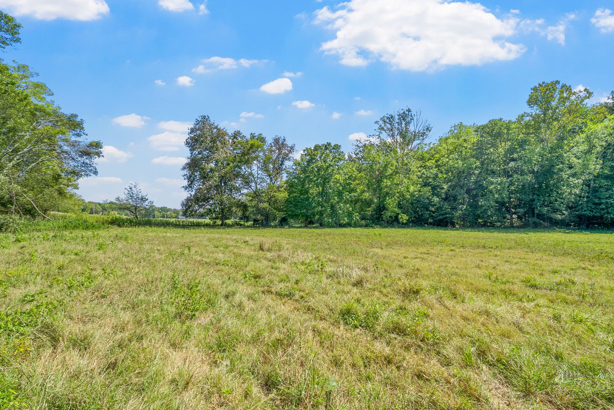 3 Indian Creek Road Cumberland Furnace TN 37051