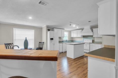 369 Canoe Branch Road Castalian Springs TN 37031