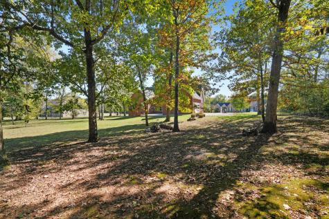1124 Friendswood Lane Christiana TN 37037