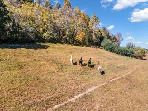 13581 Campbellsville Road Lynnville TN 38472