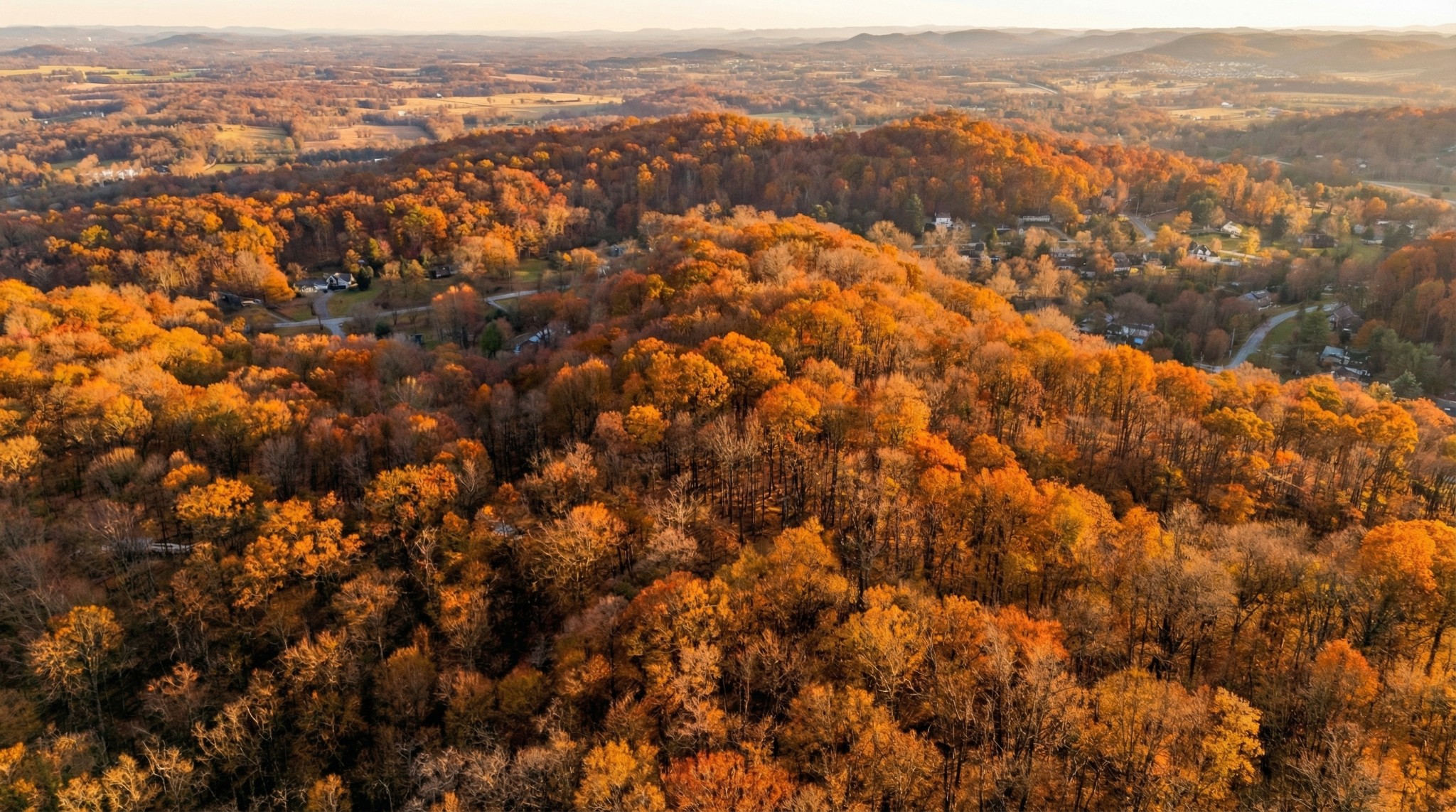 218 Forest Ridge Court Franklin TN 37069