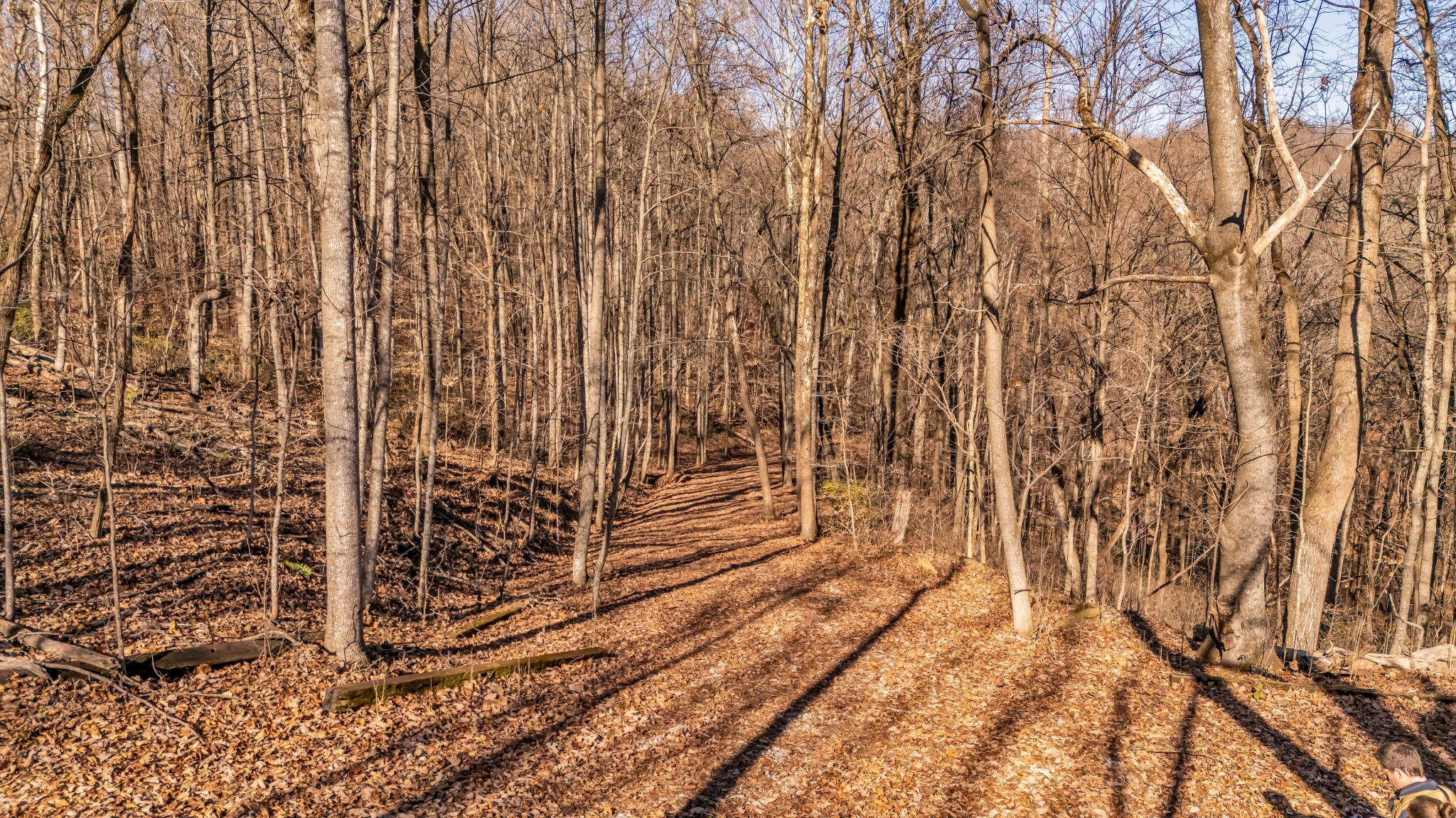 218 Forest Ridge Court Franklin TN 37069
