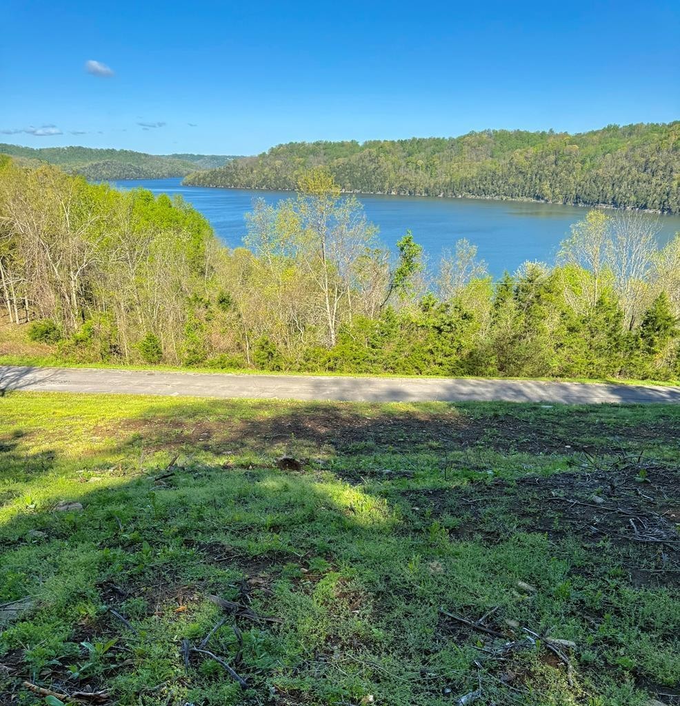 84 Harbor Pointe Drive Silver Point TN 38582