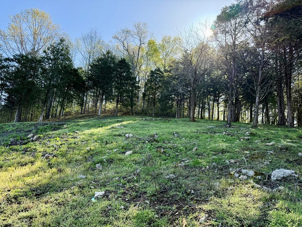 84 Harbor Pointe Drive Silver Point TN 38582