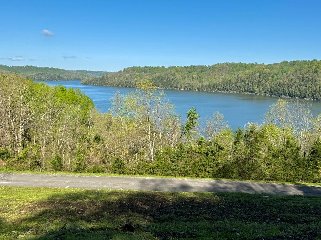 84 Harbor Pointe Drive Silver Point TN 38582