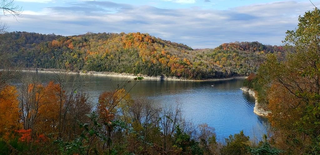 84 Harbor Pointe Drive Silver Point TN 38582