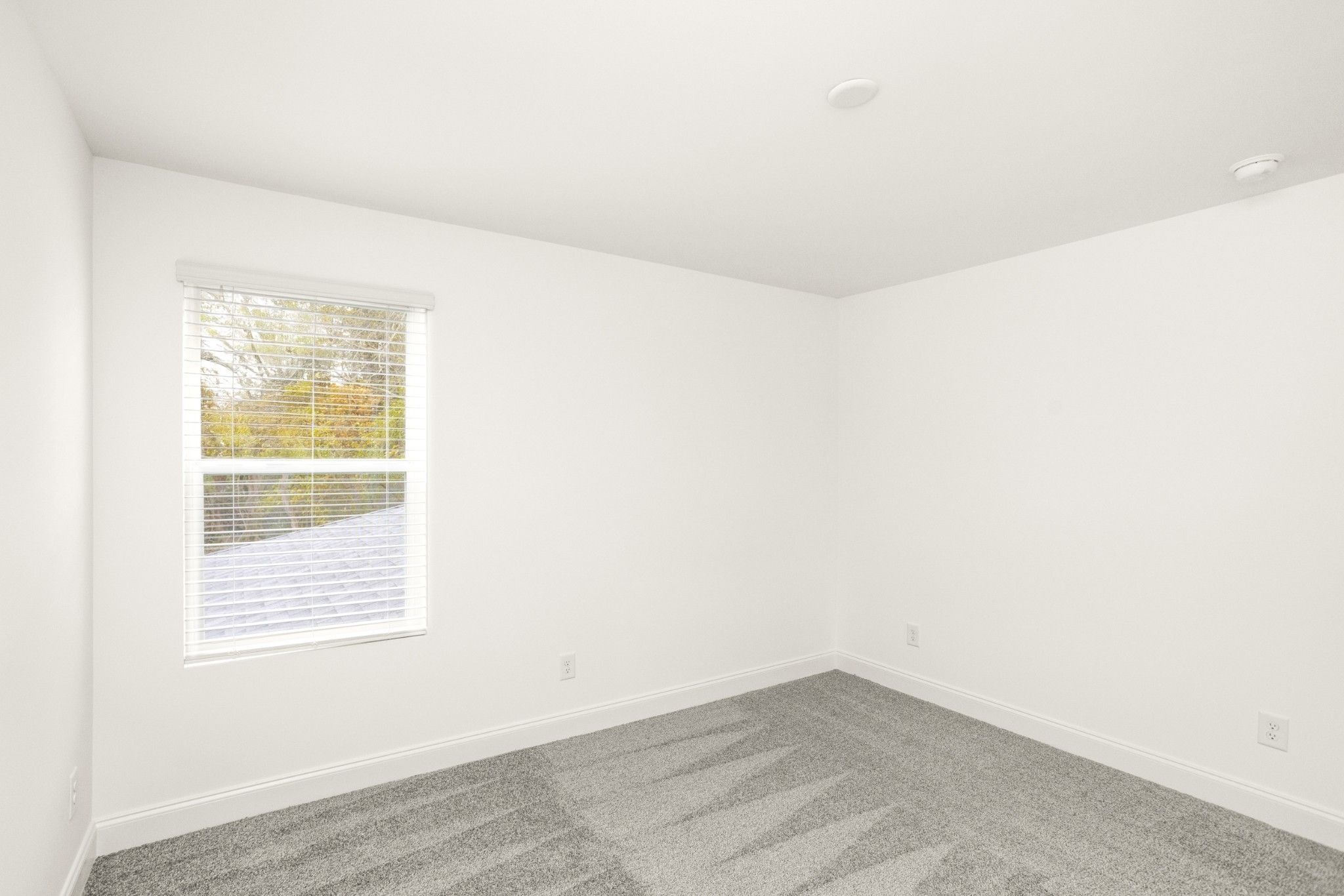 1547 Oak Springs Drive Columbia TN 38401