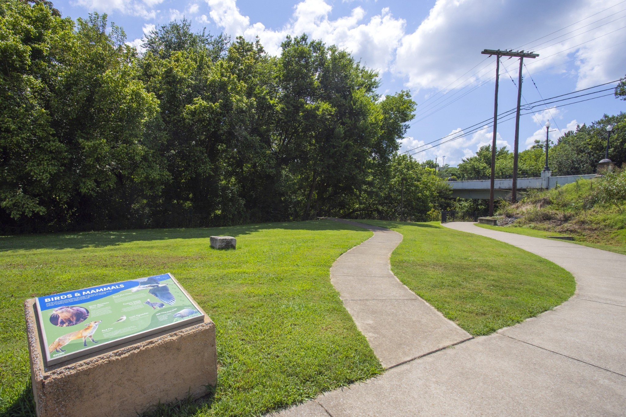 1547 Oak Springs Drive Columbia TN 38401