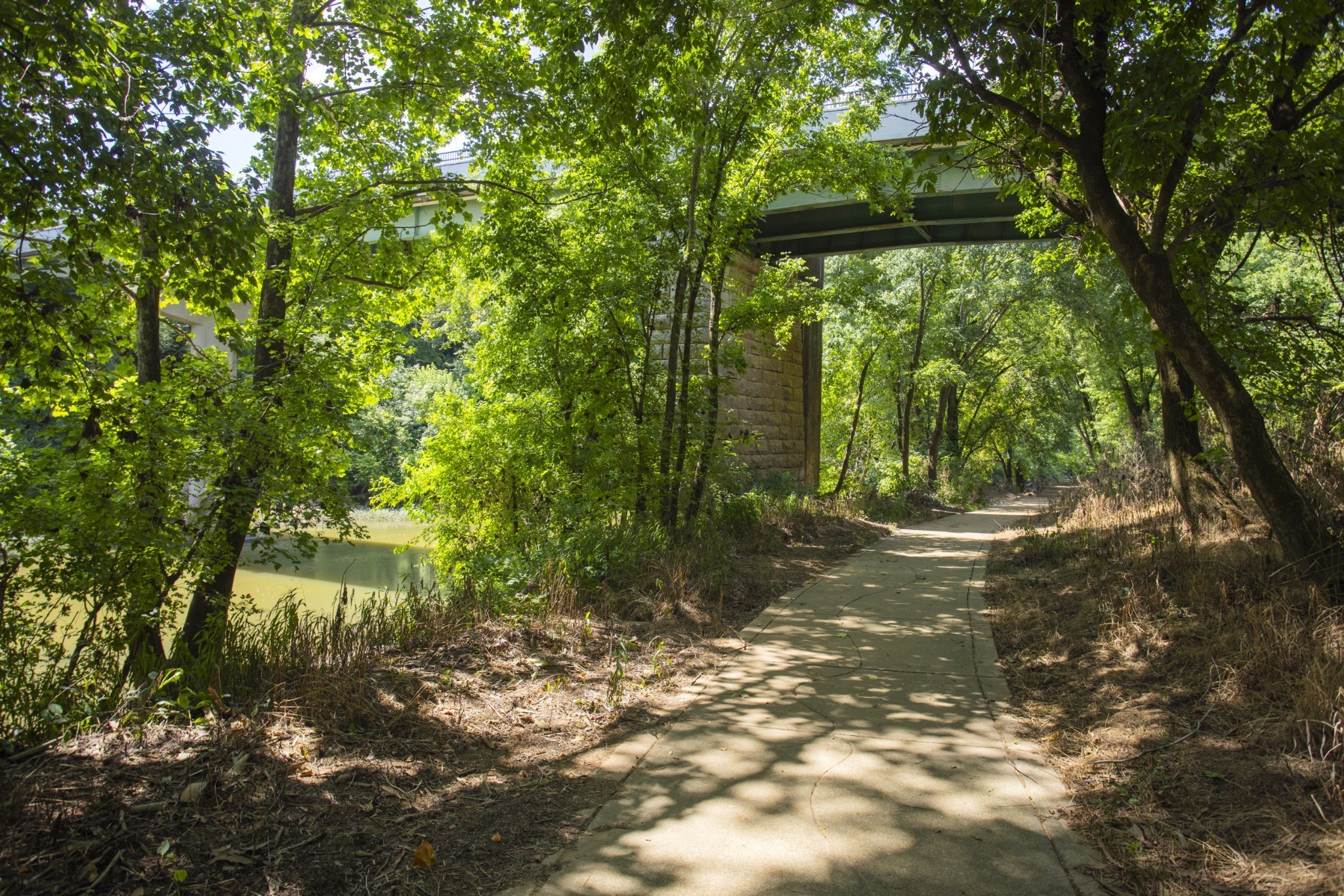 1547 Oak Springs Drive Columbia TN 38401