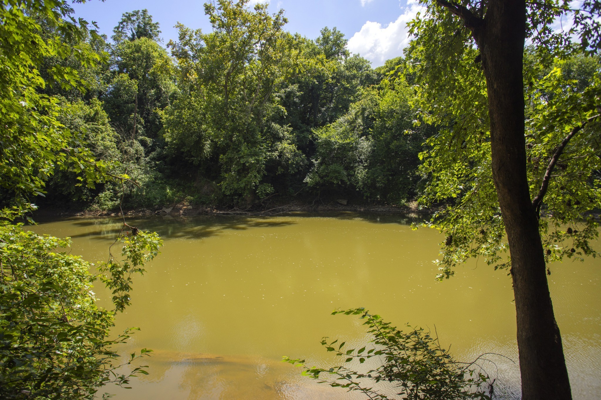 1547 Oak Springs Drive Columbia TN 38401