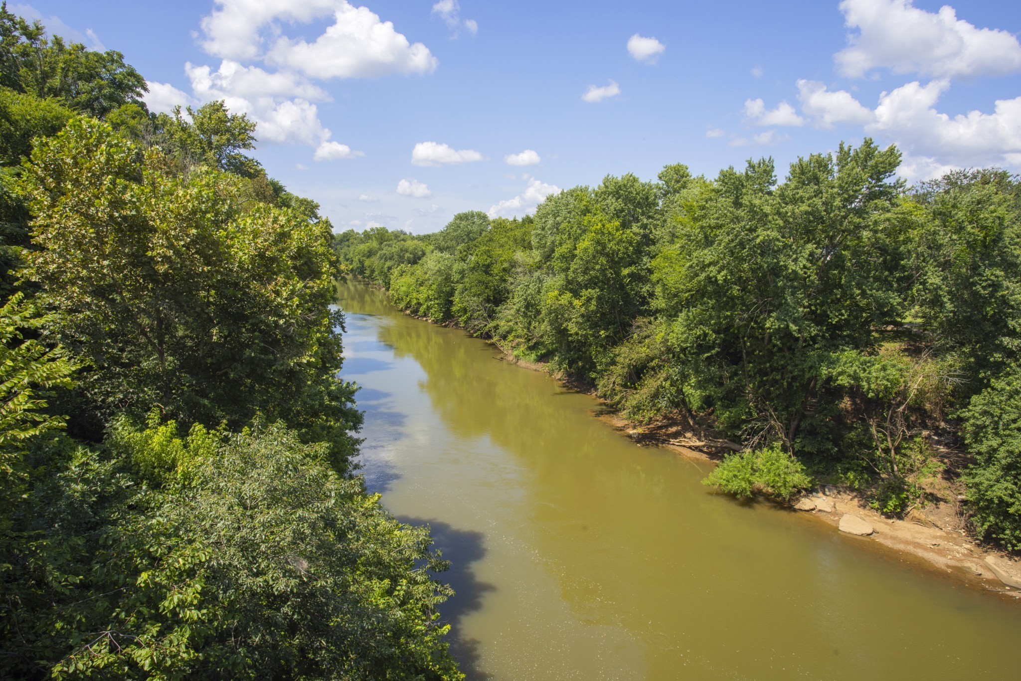 1547 Oak Springs Drive Columbia TN 38401