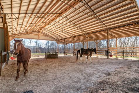925 Bumpas Road Lawrenceburg TN 38464