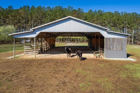 925 Bumpas Road Lawrenceburg TN 38464