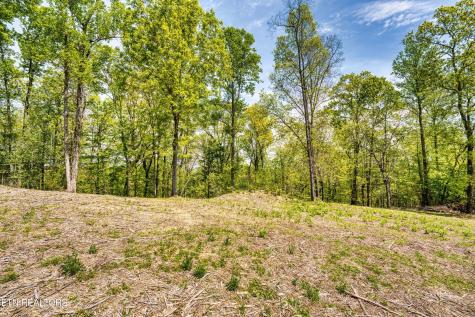 1003 Sheerwater Road Kingston TN 37763