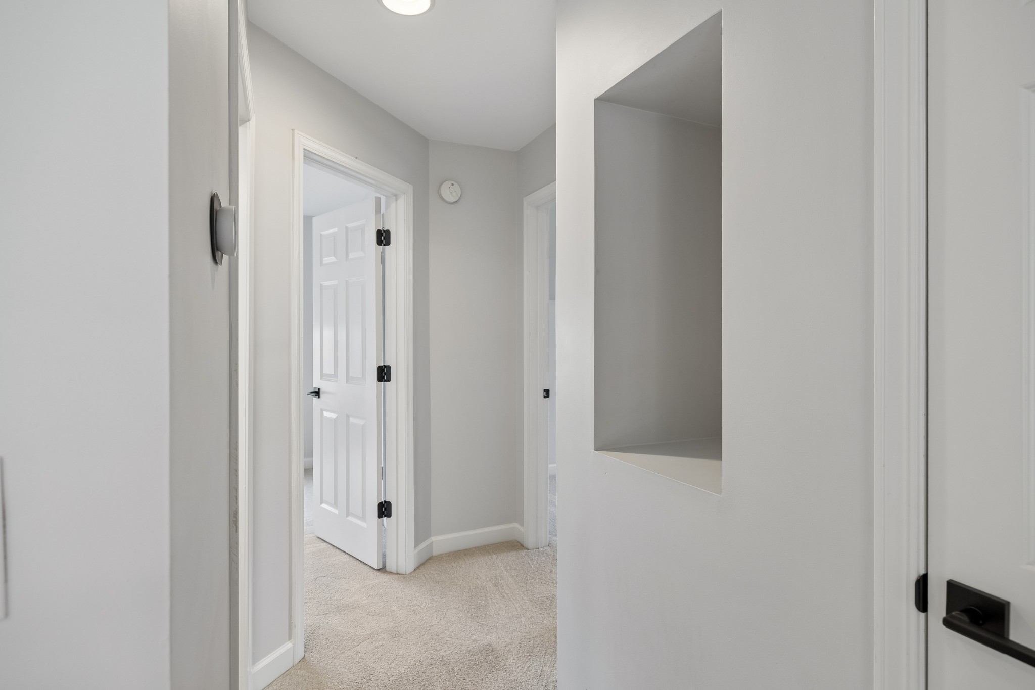 1015 Red Pepper Ridge Spring Hill TN 37174