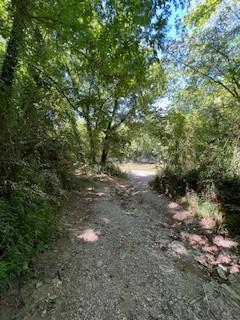 0 Warner Bridge Road Shelbyville TN 37160