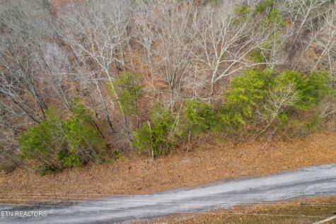 45 Walleye Point Sharps Chapel TN 37866