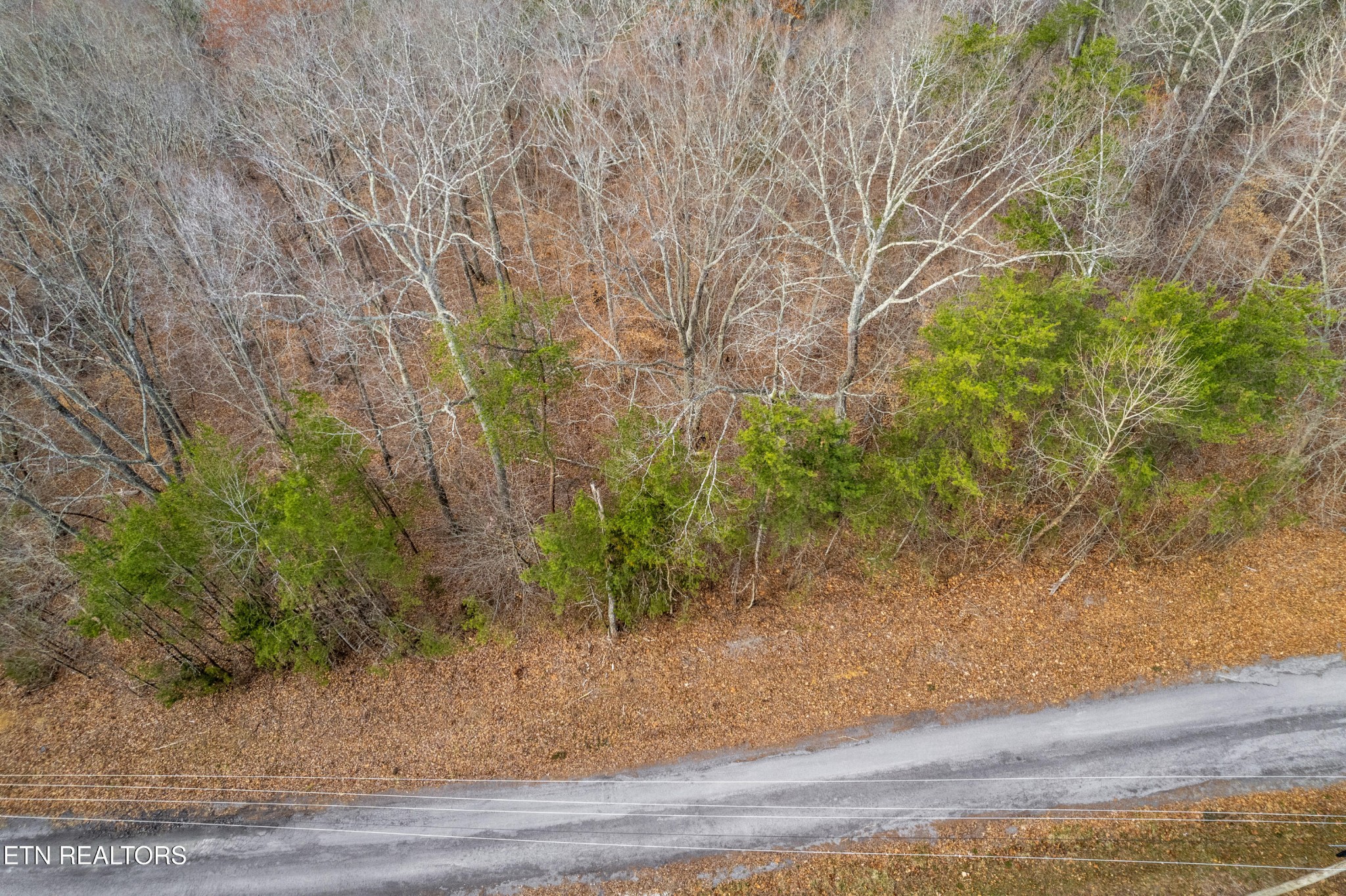 45 Walleye Point Sharps Chapel TN 37866