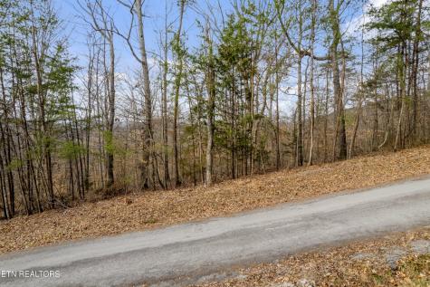 45 Walleye Point Sharps Chapel TN 37866