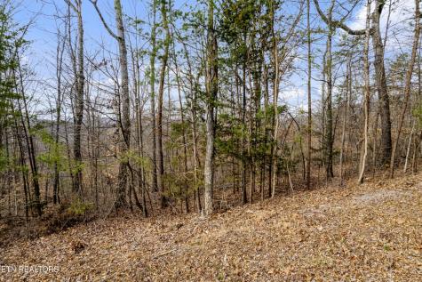 45 Walleye Point Sharps Chapel TN 37866