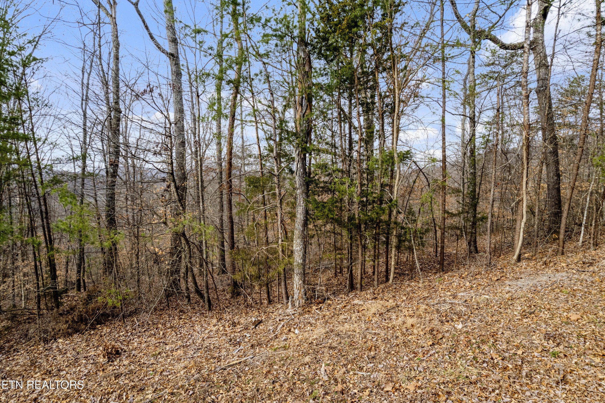 45 Walleye Point Sharps Chapel TN 37866