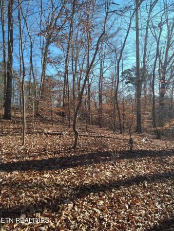 45 Walleye Point Sharps Chapel TN 37866
