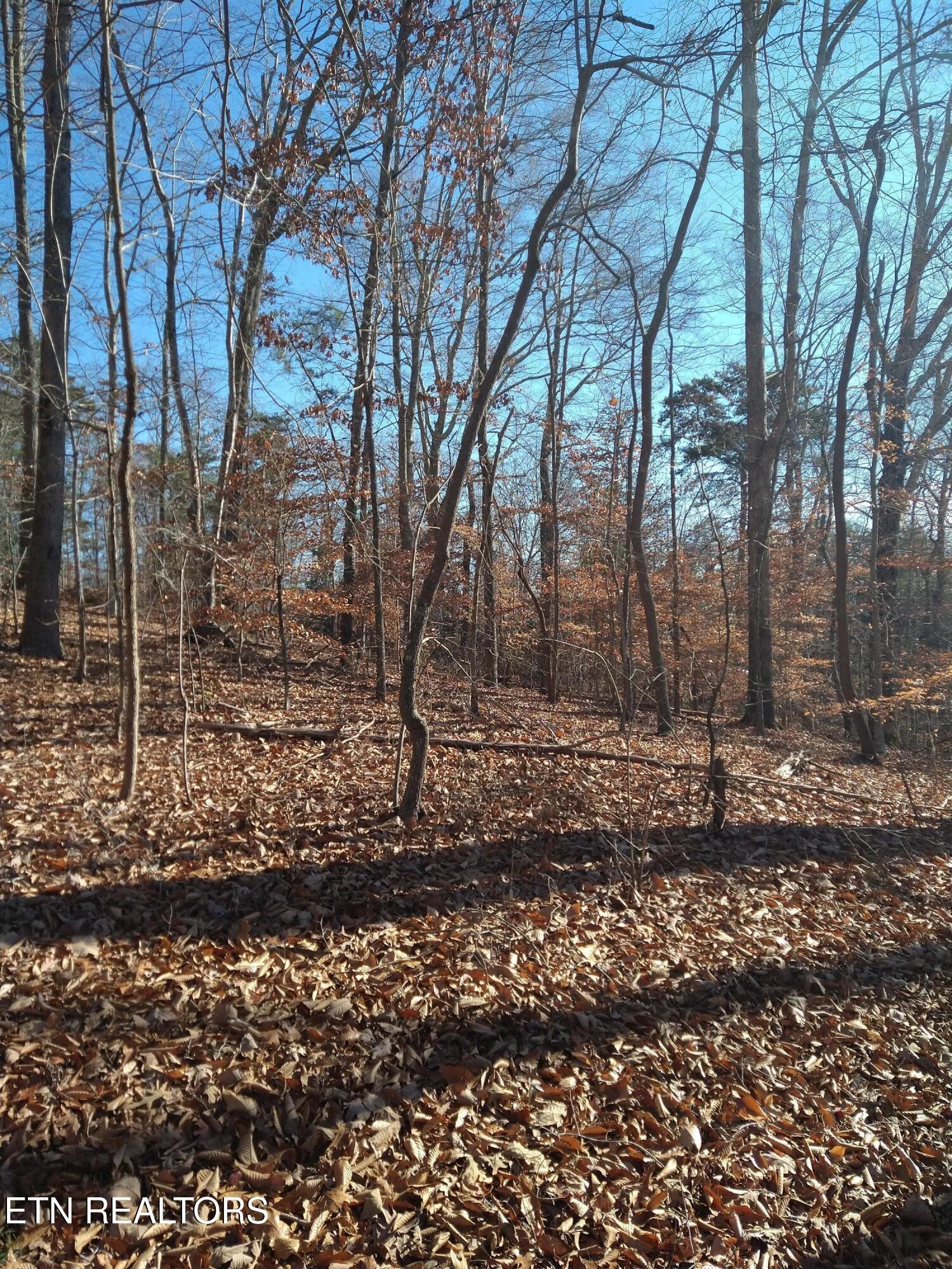 45 Walleye Point Sharps Chapel TN 37866
