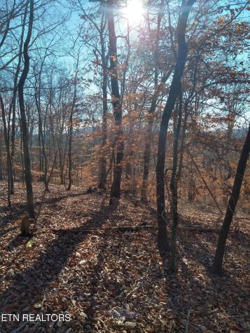 45 Walleye Point Sharps Chapel TN 37866