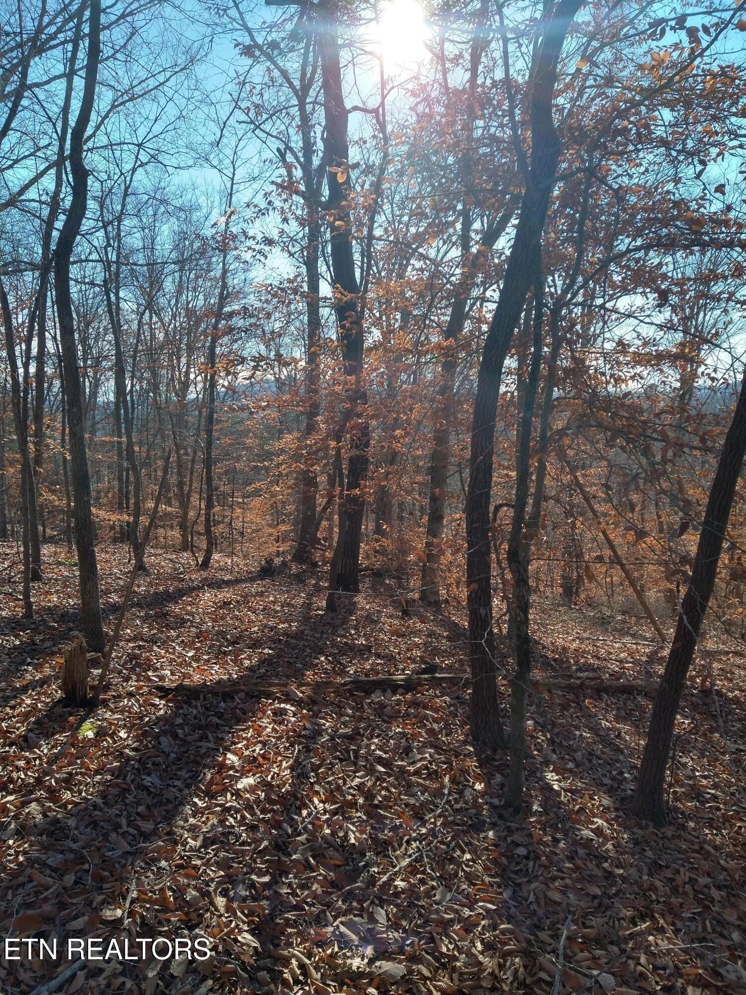 45 Walleye Point Sharps Chapel TN 37866