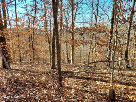 45 Walleye Point Sharps Chapel TN 37866