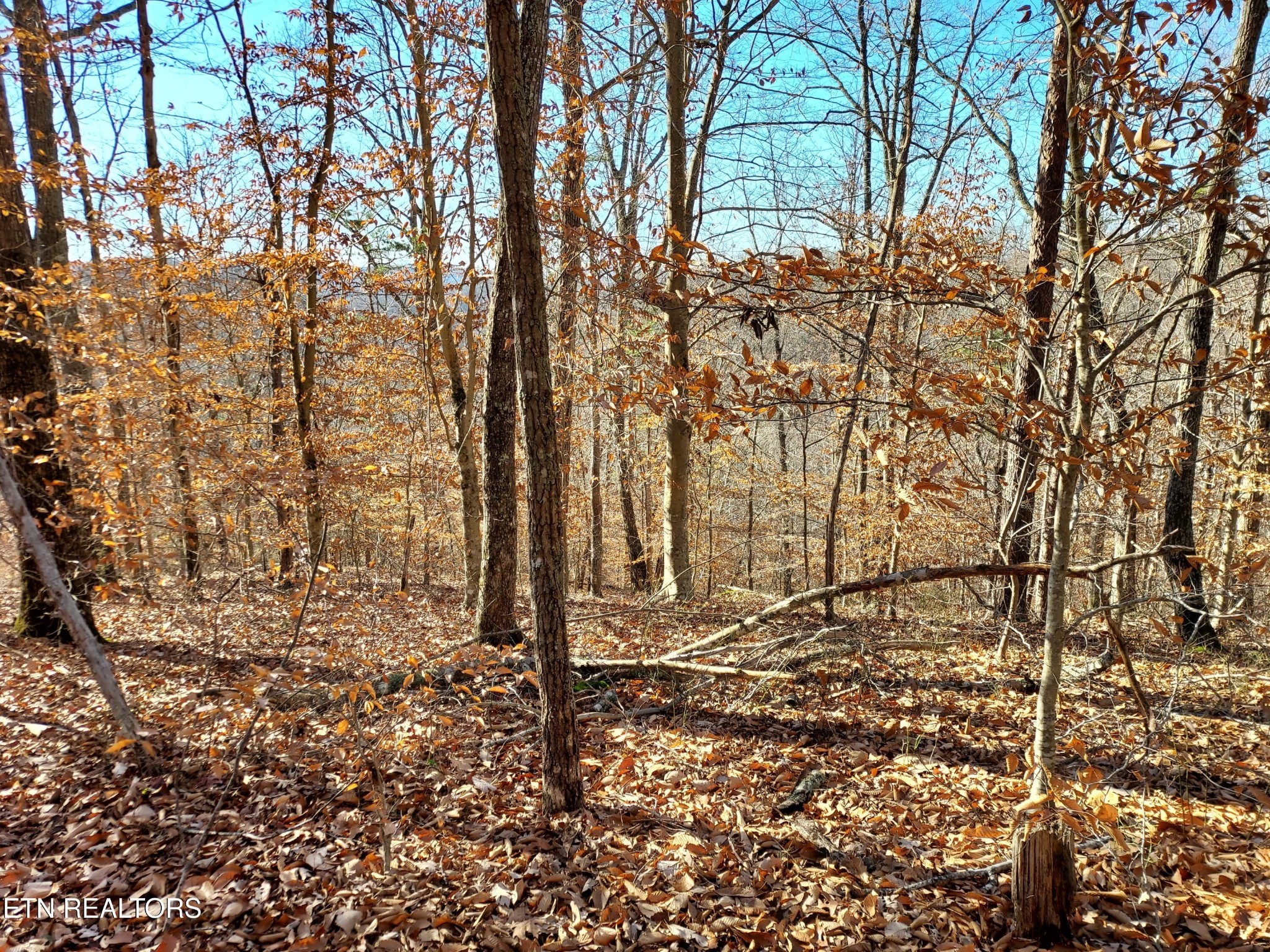45 Walleye Point Sharps Chapel TN 37866