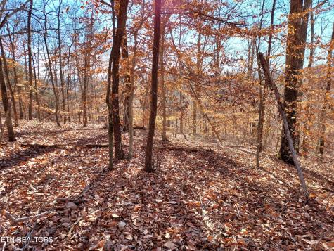 45 Walleye Point Sharps Chapel TN 37866