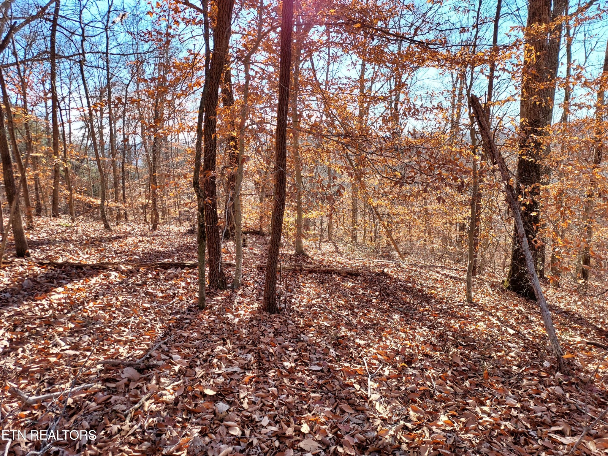 45 Walleye Point Sharps Chapel TN 37866
